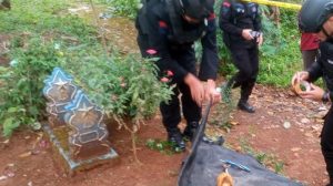 Warga Desa Sinargalih Temukan Granat Aktif Saat Menggali Kubur