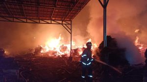 Limbah Olahan Kayu Bahan Baku Triplek di Gantar Terbakar