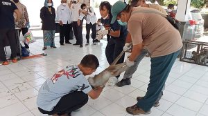 Pengamen Topeng Monyet Terima Bantuan Alih Profesi