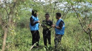 Pengembangan Biomassa PLN di Tasikmalaya: Dikelola Masyarakat, Didukung Pemerintah