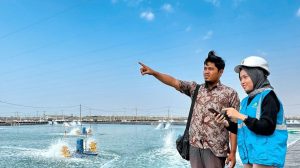 Berkat Electrifying Agriculture, Tiga Kali Lipat Untung dan Efisiensi Biaya Produksi Naik 43 Persen 
