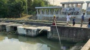 Warga Desa Kedondong Digegerkan Penemuan Mayat Perempuan Mengapung di Sungai
