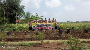 Polsek Talun Sewa Lahan Milik Pemdes Cirebon Girang untuk Tanam Sayuran