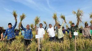 Pj. Gubernur Jabar Dorong Peningkatan Produksi Padi