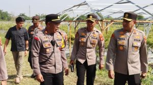 Kapolres Majalengka Tinjau Lahan Ketahanan Pangan di Kecamatan Dawuan