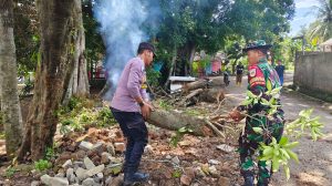Pohon Petai Tumbang di Desa Cikeleng, Babinsa Bareng Bhabinkamtibmas dan Warga Gotong Royong Evakuasi