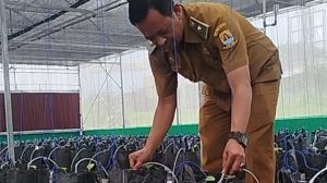 BUMDes Penpen Kembangkan Budidaya Melon Sistem Hidroponik