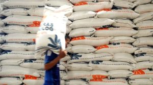 Pengadaan Beras Bulog Capai 1,266 Juta Ton, Tertinggi Sepanjang 5 Tahun Terakhir