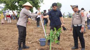 Kapolres Indramayu Dukung Ketahanan Pangan Penanaman Serentak Agroforestri