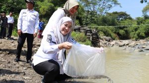 Kota Cirebon Terima Bantuan 85 Ribu Benih Ikan, Dorong Ketahanan Pangan dan Ekowisata Perairan