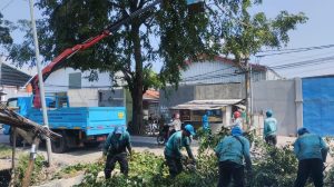 Pemkot Cirebon Kerahkan SKPD Percantik Wajah Kota