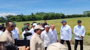 Dengar Keluhan Petani Terkait Hama Tikus Mengganas, Prabowo Perintahkan Mentan Beli 1.000 Burung Hantu