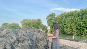 Budidaya Rumput Laut Solusi Ketidakpastian Petambak Bandeng