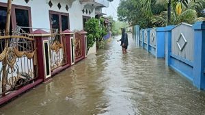 BMKG Peringatkan Warga Agar Waspada Terjadinya Banjir Rob di Pesisir Utara