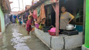 Warga Mengaku Sudah Puluhan Tahun Banjir Rob Landa Pesisir Eretan Wetan