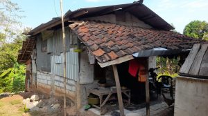 Kandang Ayam