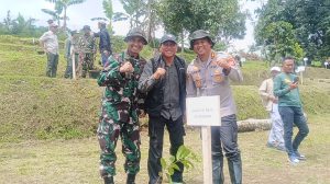 Penanaman Pohon