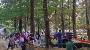 Woodland Kuningan