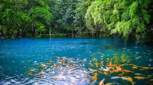 7 Wisata Kuningan yang Lagi Hits Januari 2026