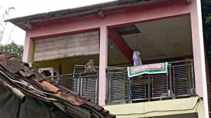 Kera Liar Masuk Rumah Warga