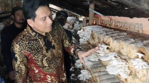 Budidaya Jamur